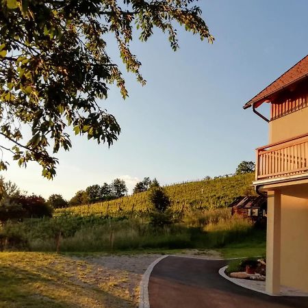 Villa Ferienhaus Penitz Großklein Exterior foto